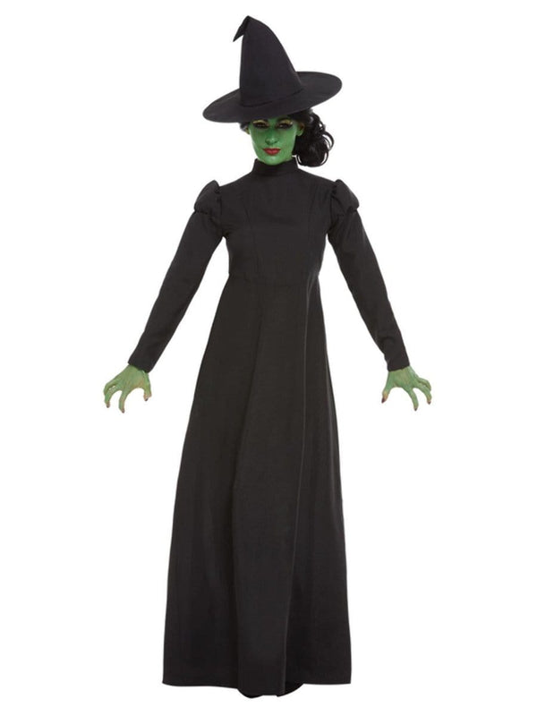 Wicked witch store costume