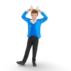 Mr. Rabbit Costume
