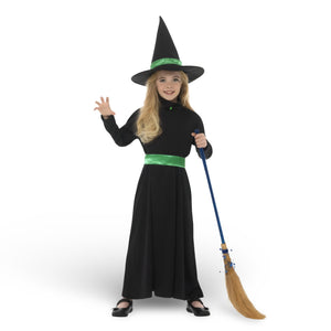Wicked Witch Costume For Girls