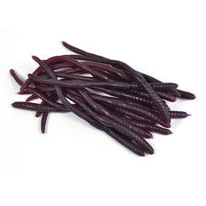 Spooky Creation Earthworms