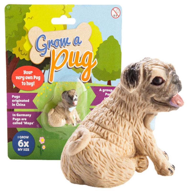 Pugs best sale favorite toys