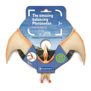 Balancing Pteranodon