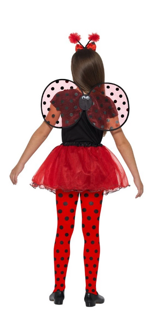 Ladybird Kit Costume
