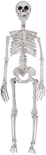 Posable Hanging Halloween Skeleton - 36 inch