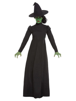 Wicked Witch Costume - (Adult)