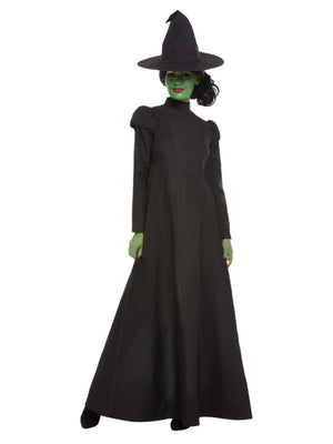 Wicked Witch Costume - (Adult)