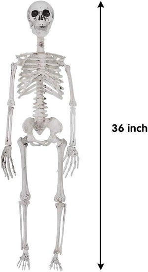 Posable Hanging Halloween Skeleton - 36 inch