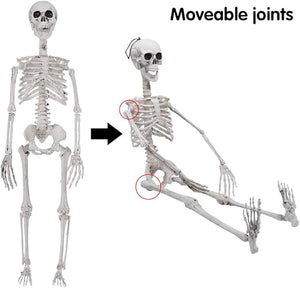 Posable Hanging Halloween Skeleton - 36 inch