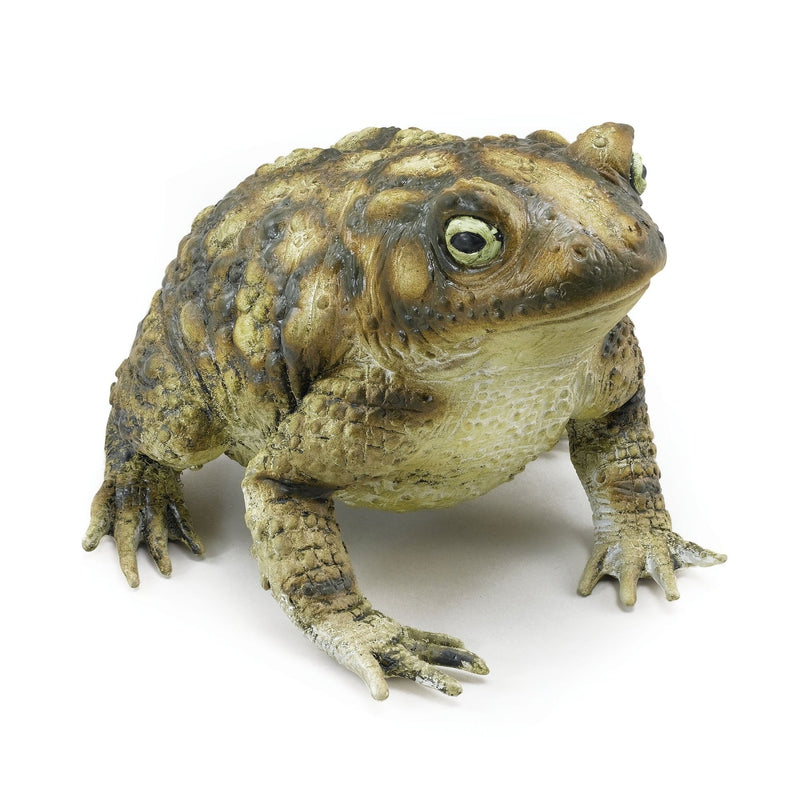 Rubber Toad - 7 inch – Posters Abu Dhabi