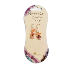 Nature's Gift Gemstone Drop Earrings