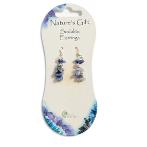 Nature's Gift Gemstone Drop Earrings