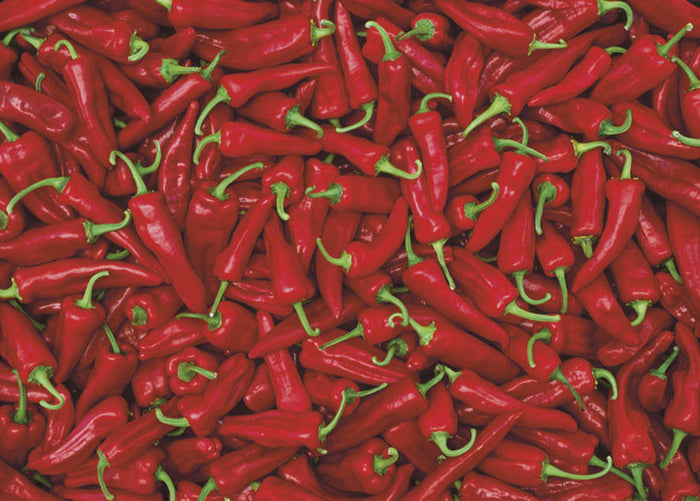 Gift Wrapping Paper - Chillies