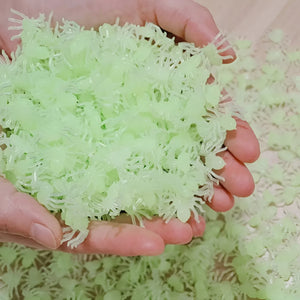 Mini Glow In The Dark Spider (100pcs)