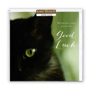 Goodluck / Lucky Black Cat - Card