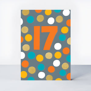 Age 17 Boy Birthday Bright Polka Dot Design - Card