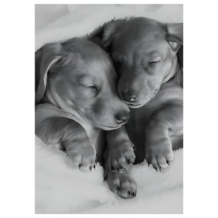 Sleeping Dachshund Puppies - Card