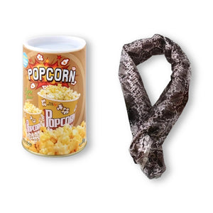 Popcorn Chip Can (Prank)