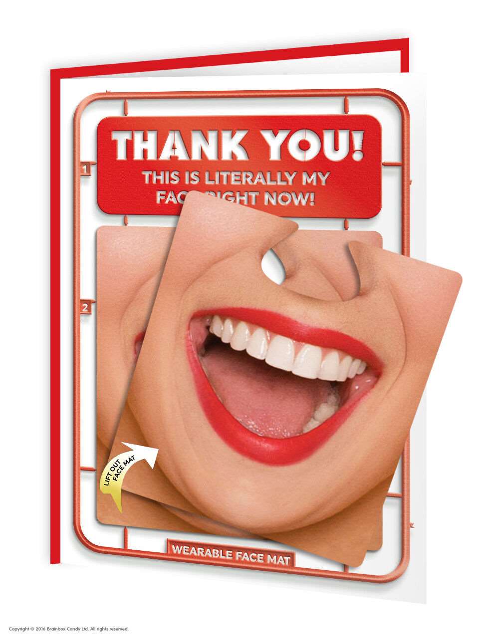'Use This If You Don't Like Your Presents' Face Mat Card