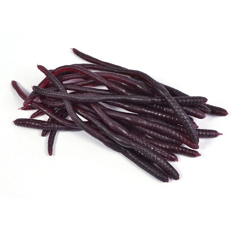 Spooky Creation Earthworms