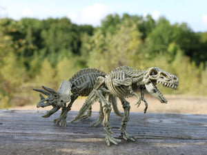 Dinosaur Excavation Set - 1