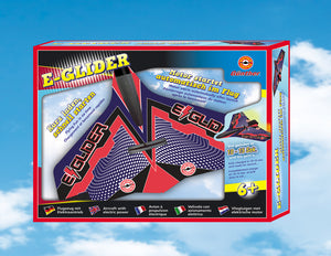 E-Glider Aeroplane With Electric Starter
