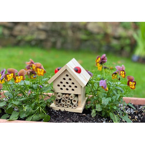 Gift In A Tin - Make Your Own Insect House