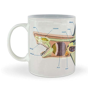 Shark Anatomy Heat Change Mug