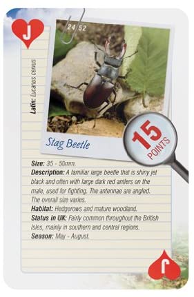 52 Ways Nature Series Playing Cards - Insects and Spiders