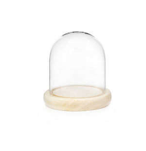 Small Bell Jar With Wood Base