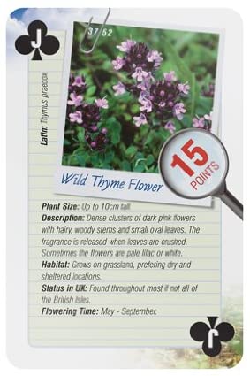52 Ways Nature Series Playing Cards - Wild Flowers