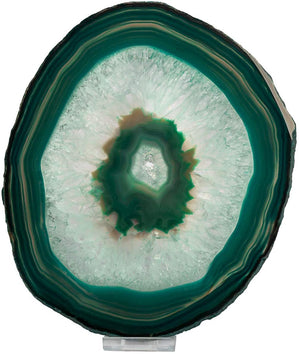 Agate Slice 3-4" - Green