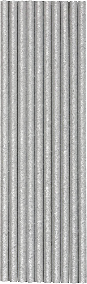 Eco-Friendly Silver Paper Straws - Pack of 10
