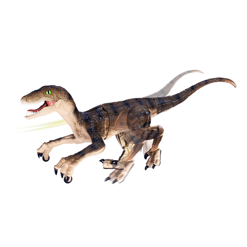 SHOP-STORY - VELOCIRAPTOR : Dinosaure Télécommandé avec Lumières