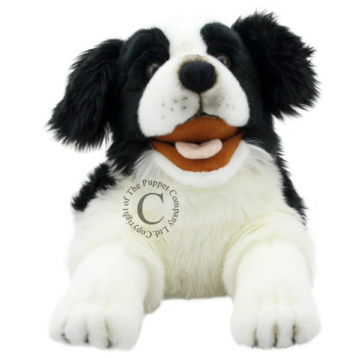 Playful Puppies Puppet - Border Collie Dog