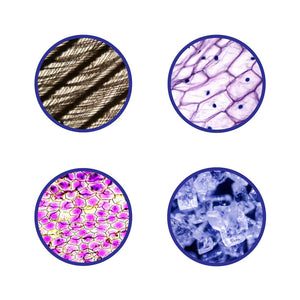 Microscope - 450X