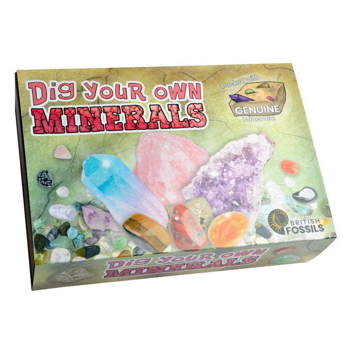 Dig Your Own Minerals Kit