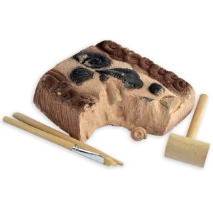Dig Your Own Fossils Kit