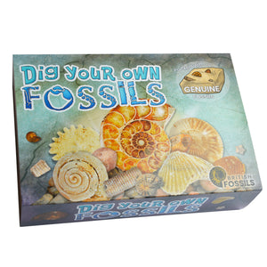 Dig Your Own Fossils Kit