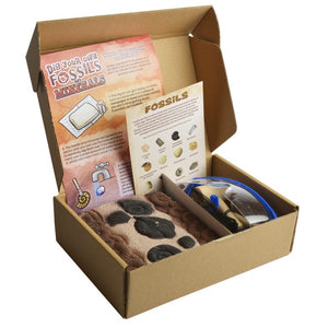 Dig Your Own Fossils Kit