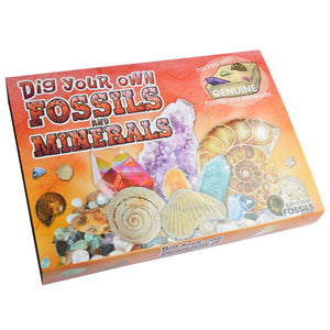Dig Your Own Fossil & Mineral Kits