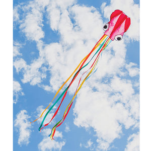 Octopus Kite - Assorted Colours