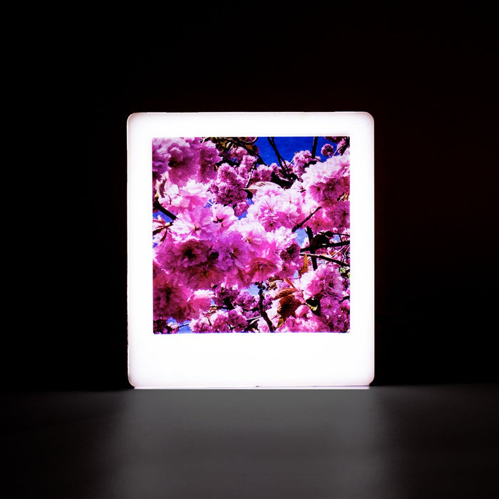 Mini Photo Light Box - Rose Gold