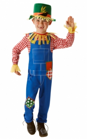Mr Scarecrow Costume