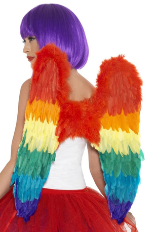 Feather Wings - Rainbow