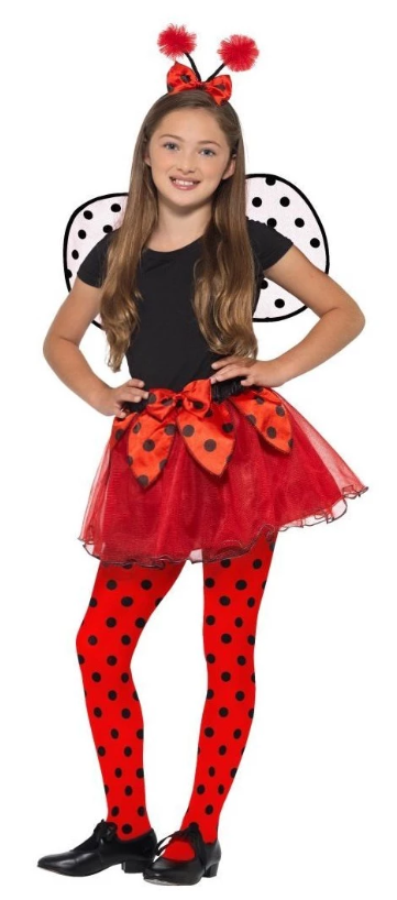Ladybird Kit Costume