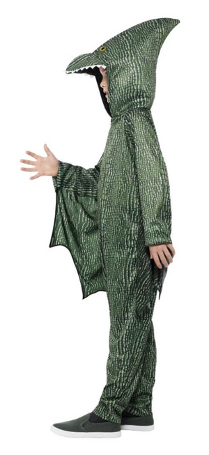 Pterodactyl Dinosaur Costume
