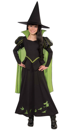 The Wicked Witch Of The West Costume