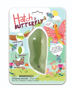 Hatch A Butterfly