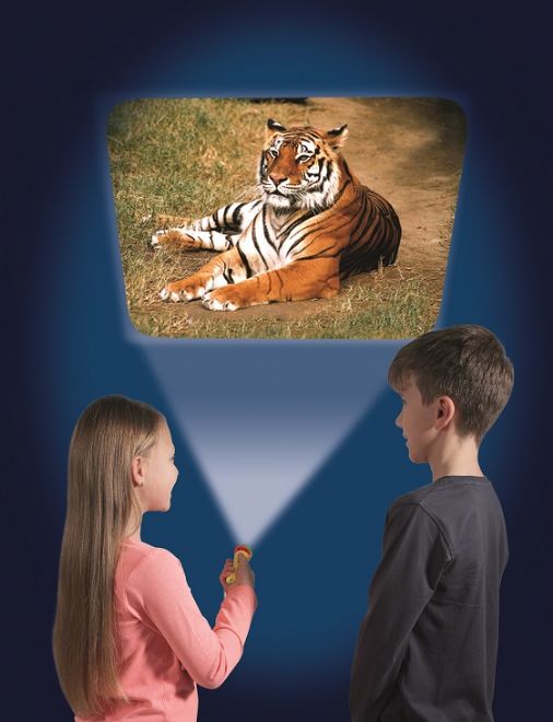 Animal Torch And Projector