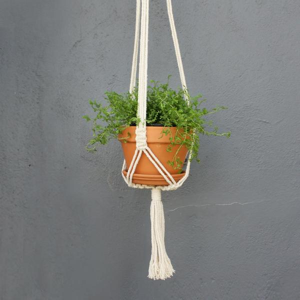 Hanging Terracotta Pot - Medium